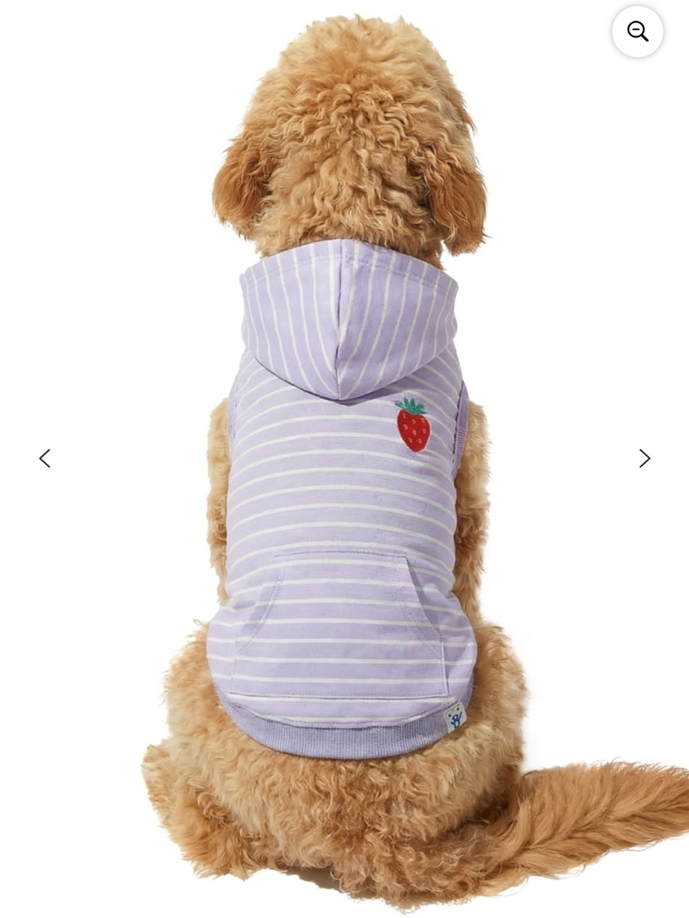 Oodles Purple Striped Strawberry Dog Hoodie Sweatshirt Medium & Large